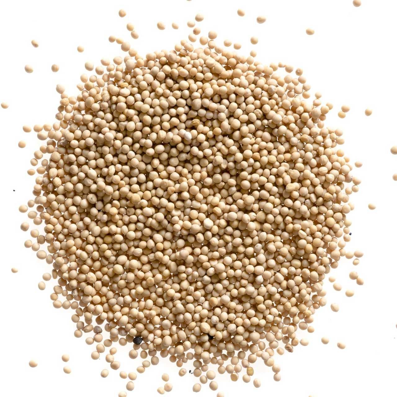 White mustard | Seth Sorisa | সাদা সরিষা